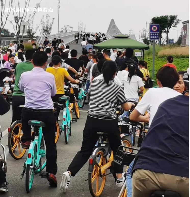 微信截图_20230411143317.jpg