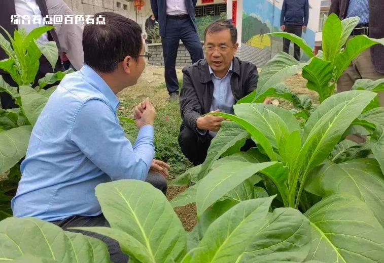 微信截图_20230411150711.jpg