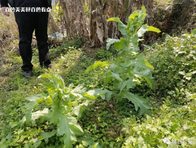 微信截图_20230420160938.jpg