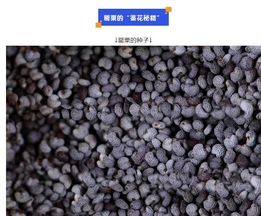 微信截图_20230420161017.jpg