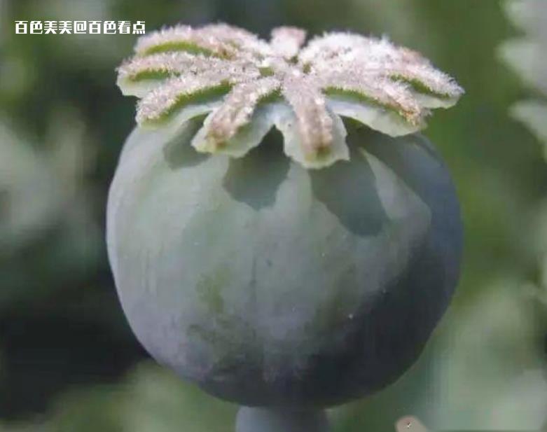 微信截图_20230420161102.jpg
