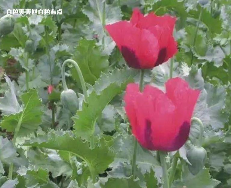 微信截图_20230420161050.jpg