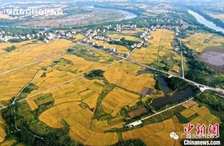微信截图_20230508094119.jpg