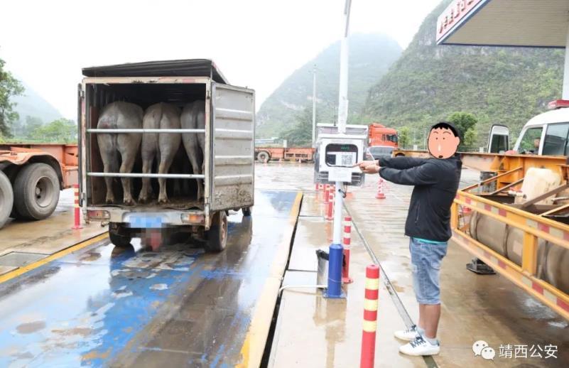 微信截图_20230510090758.jpg
