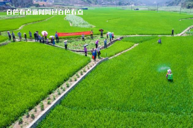 微信截图_20230523105852.jpg