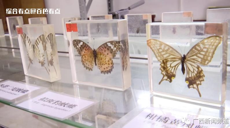 微信截图_20230524143505.jpg