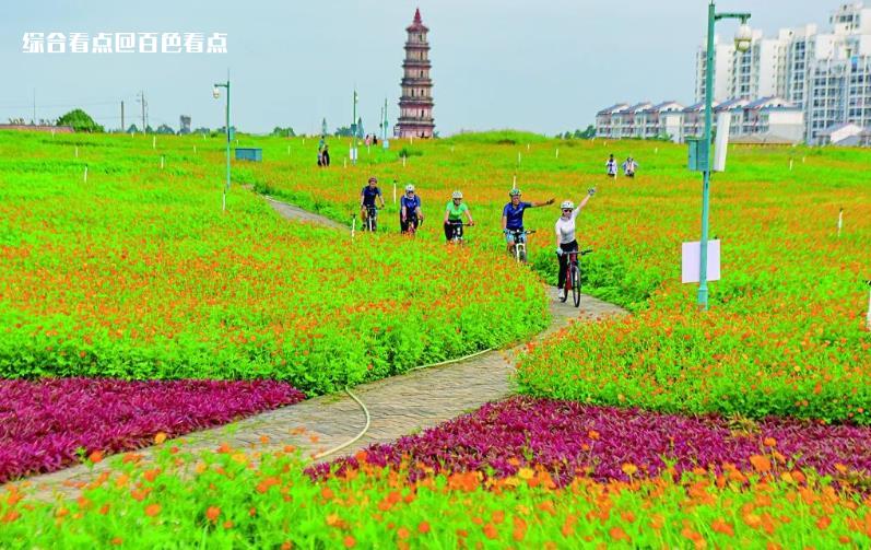 微信截图_20230526160331.jpg
