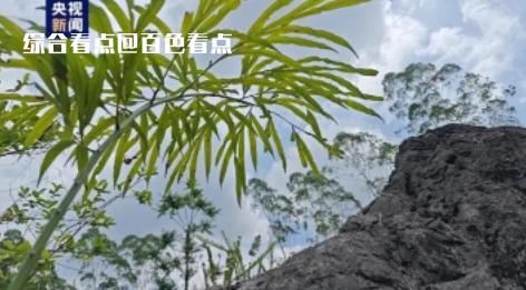 微信截图_20230607111826.jpg