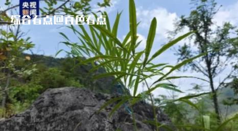 微信截图_20230607111834.jpg