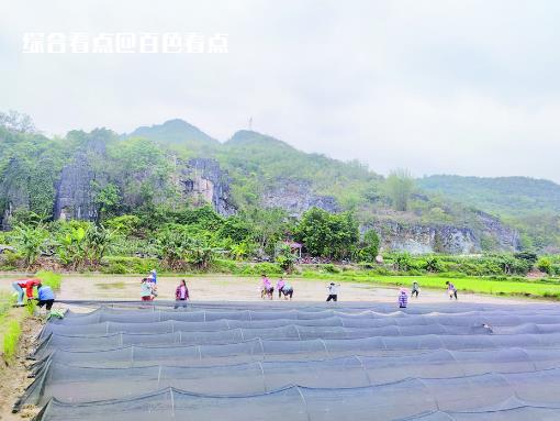 微信截图_20230609163214.jpg