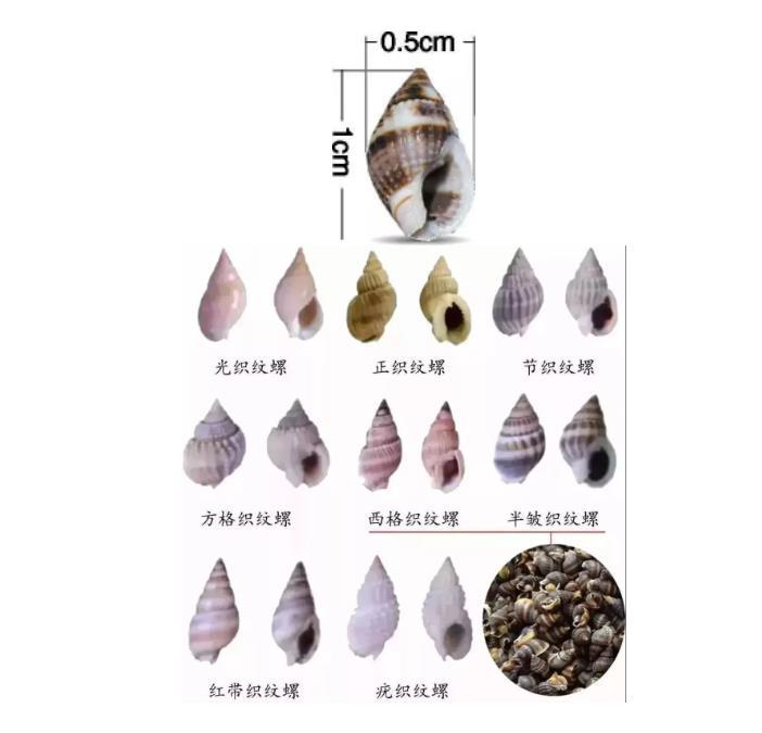微信截图_20230612145442.jpg