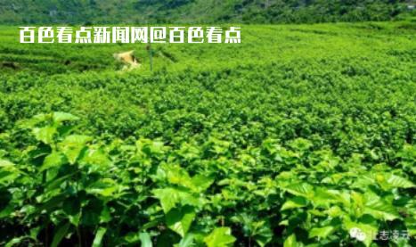 微信截图_20230701164235.jpg