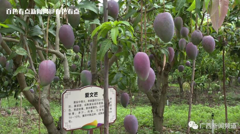 微信截图_20230712092058.jpg