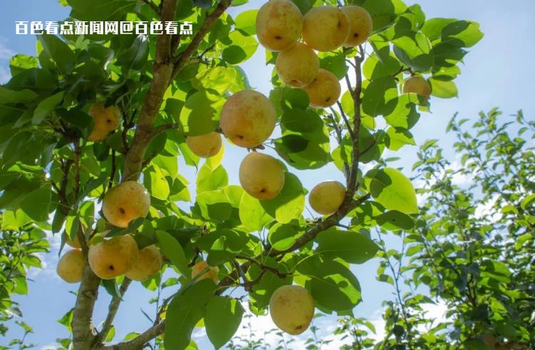 微信截图_20230714165048.jpg