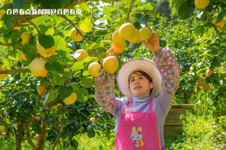 微信截图_20230714165100.jpg