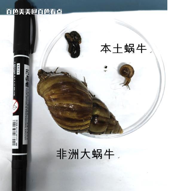 微信截图_20230717092802.jpg