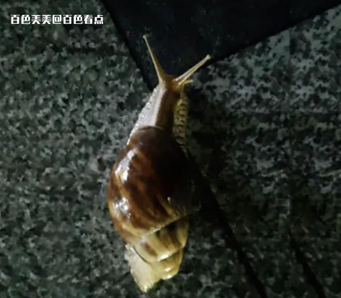 微信截图_20230717092752.jpg