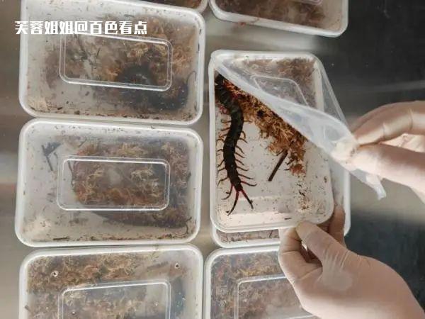 微信图片_20230718170252.jpg