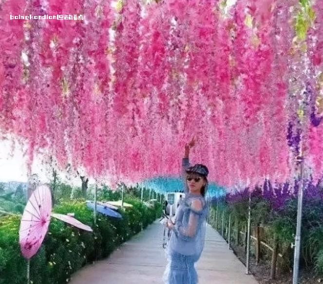 微信截图_20240118235338.jpg