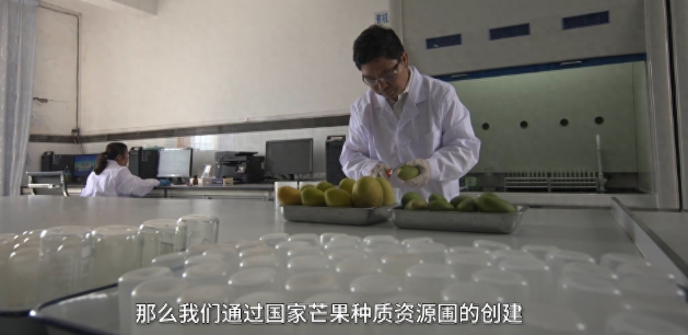 微信截图_20240306023202.jpg
