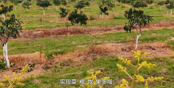 微信截图_20240306023240.jpg