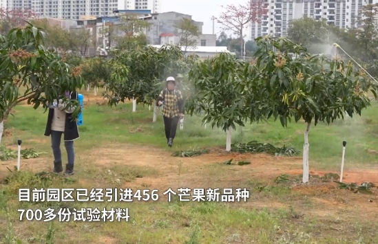 微信截图_20240306023231.jpg