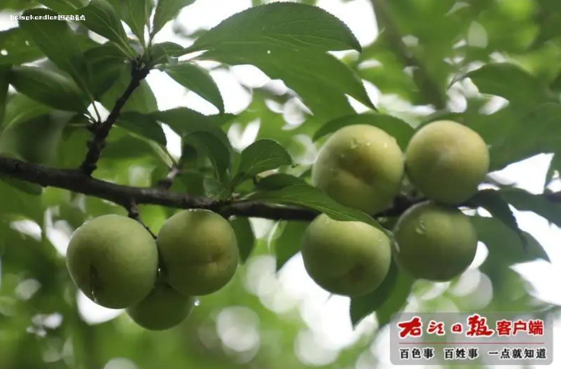微信截图_20240701112615.jpg