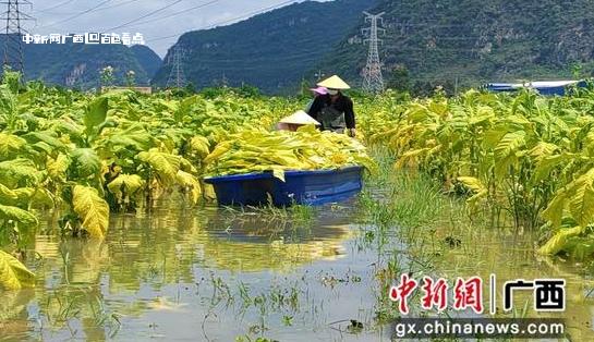 微信截图_20240709220127.jpg