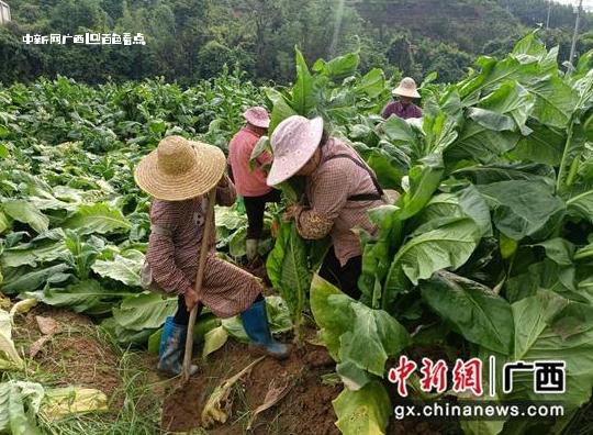 微信截图_20240709220138.jpg