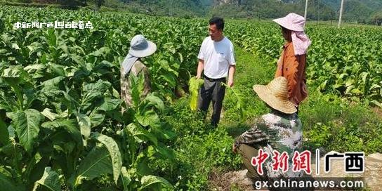 微信截图_20240709220055.jpg