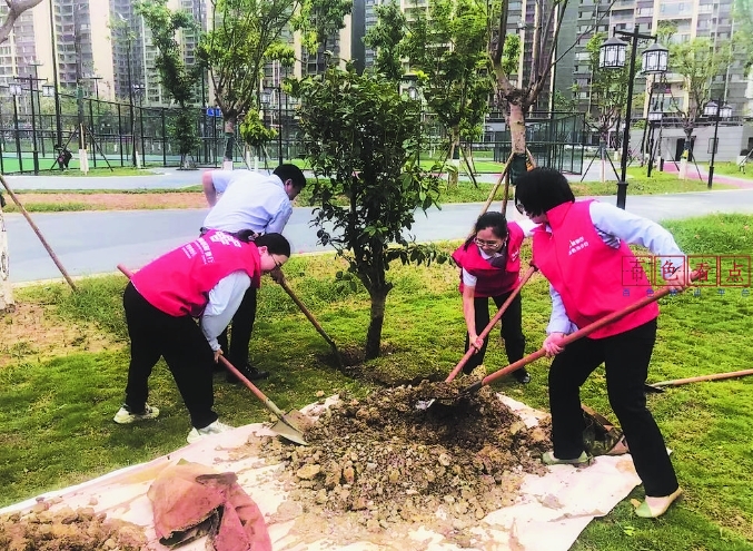 党建聚力添新绿 政银共建美家园 ——邮储银行百色市分行开展义务植树主题党日活动